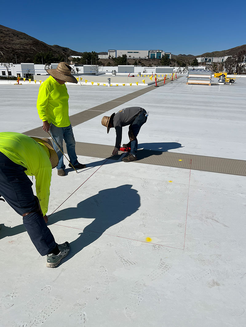 Commercial Skylights Pets Global, Valencia, CA. Skylite Tec